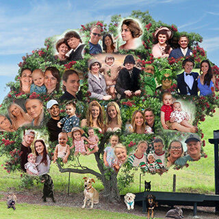 NEW! Family Trees & Groups