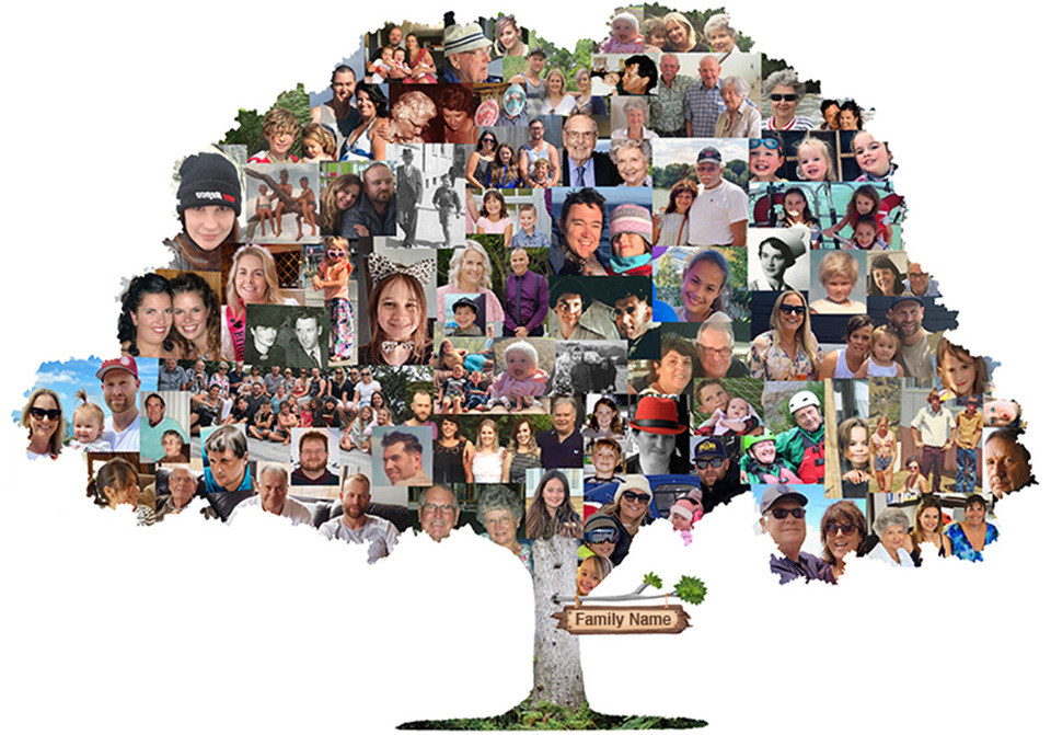 Family Tree Photo Service NZ